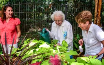 The Benefits of Flower Therapy for Aging Adults and Dementia Patients