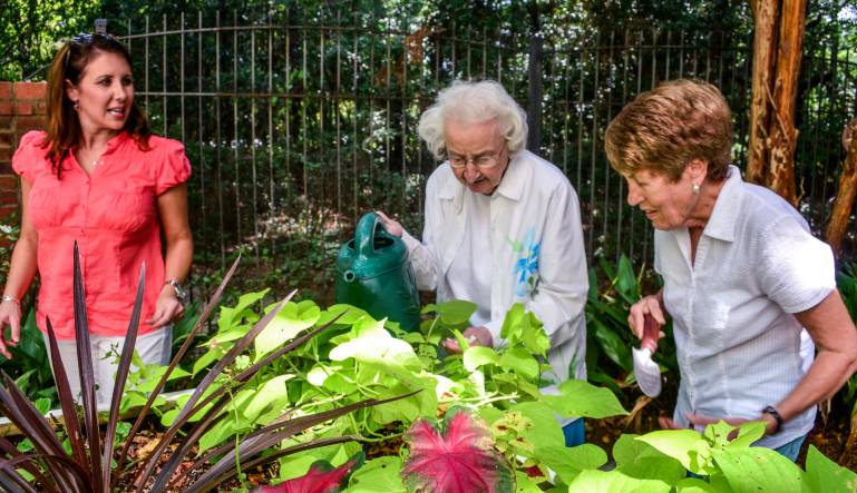 The Benefits of Flower Therapy for Aging Adults and Dementia Patients