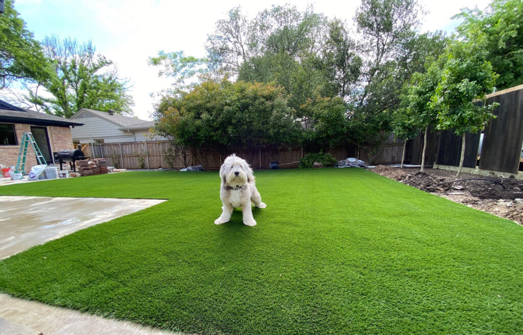 Artificial Lawn