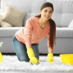 Effortless Cleaning Professional Carpet Cleaning Services at Your Doorstep